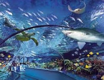 Aquarium Myrtle Beach